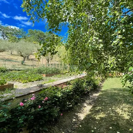 Spoleto Enchantedexc Pool, Gardens Villaaircon 2 Uncinano