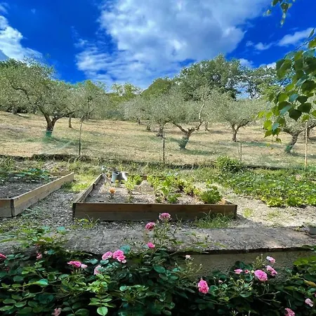 Spoleto Enchantedexc Pool, Gardens Villaaircon 2 Villa
